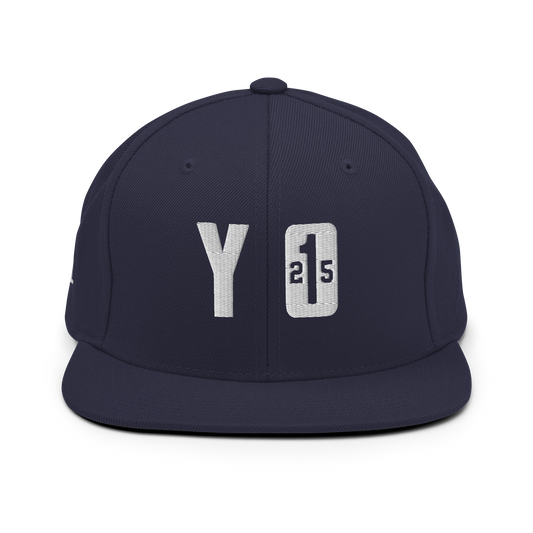 The YO-1